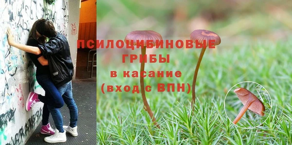 амф Нефтекумск