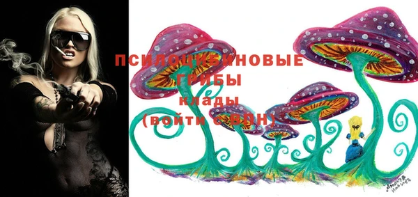 амф Нефтекумск